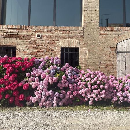 B&B Il Conte Giacomo Viarolo Buitenkant foto