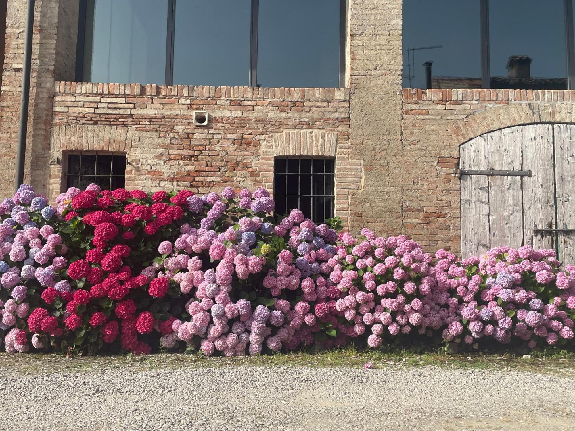 B&B Il Conte Giacomo Viarolo Buitenkant foto