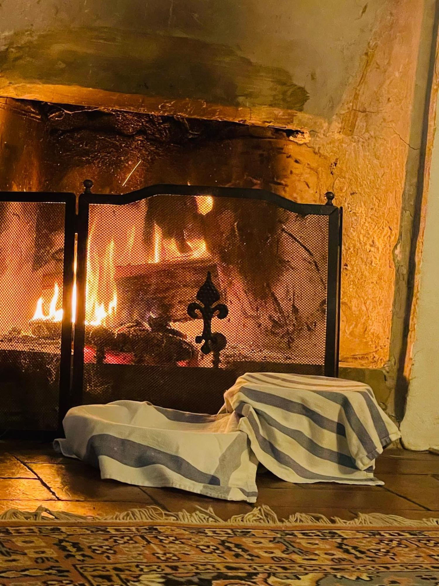 B&B Il Conte Giacomo Viarolo Buitenkant foto